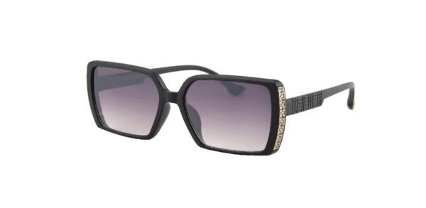 Versa Sunglasses Black/Gold